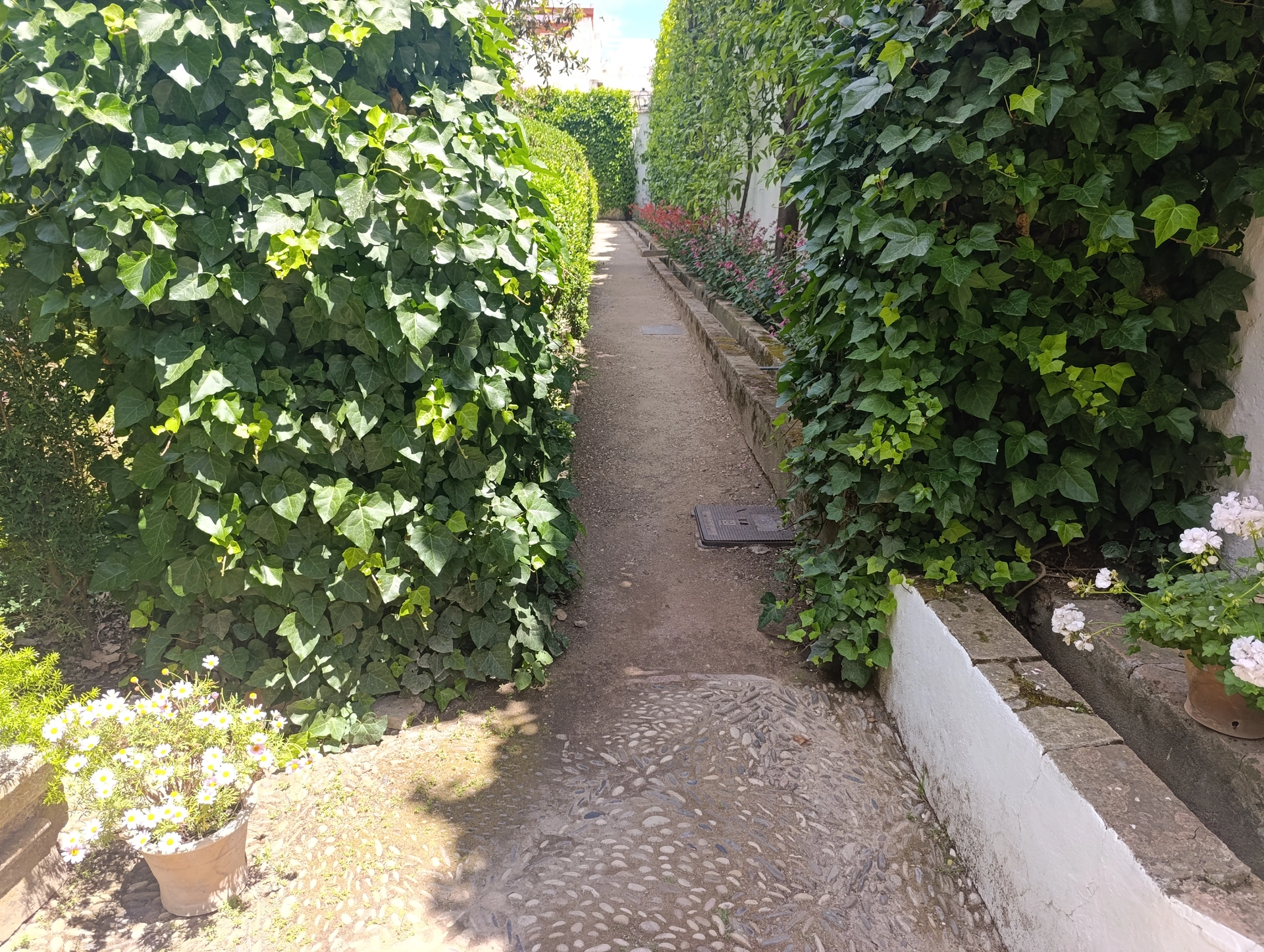 1000037390.webp
