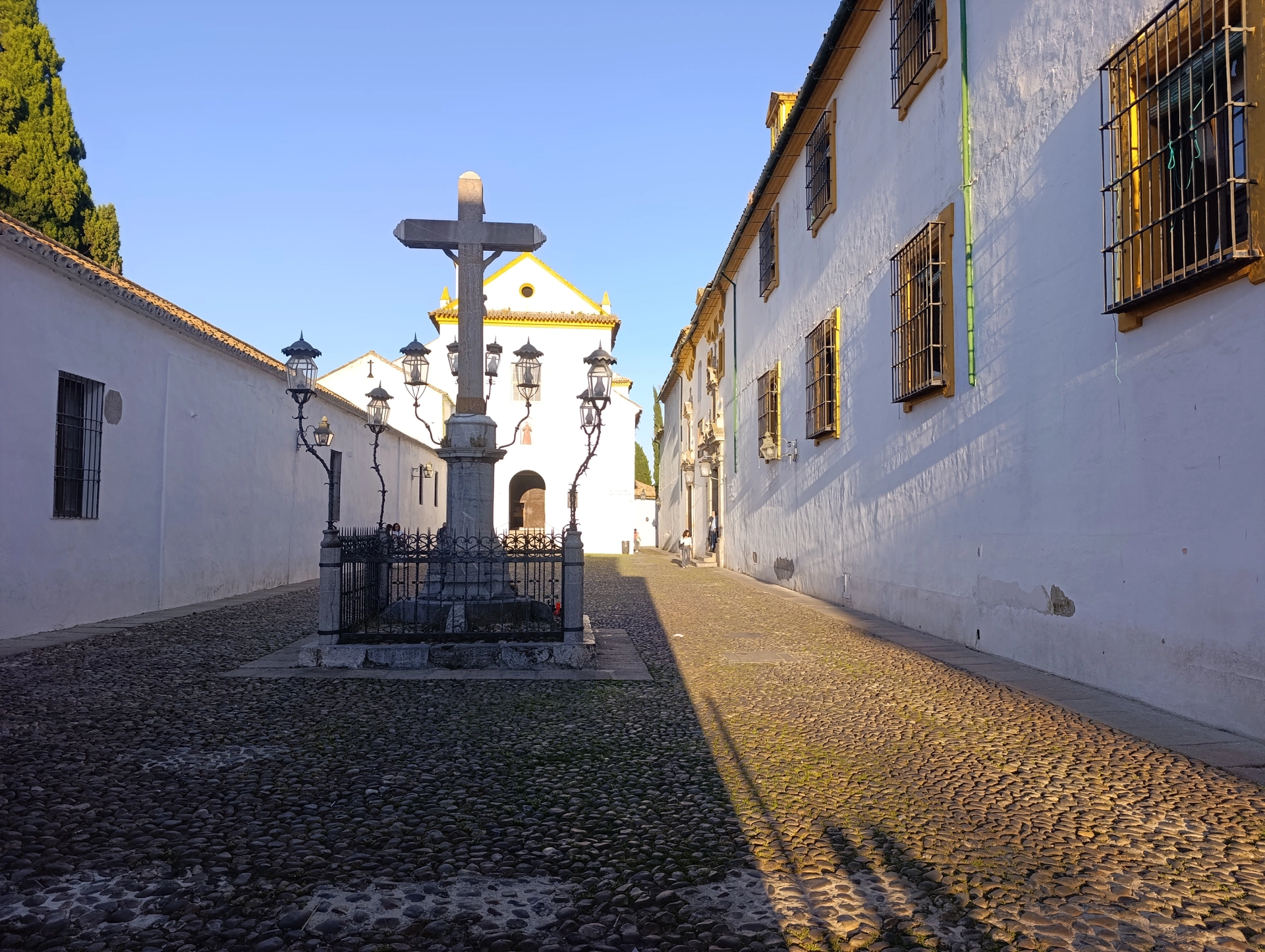 1000037603.webp