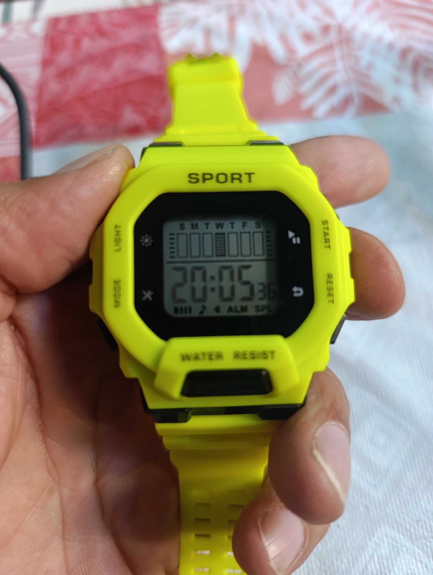 1000037782.webp