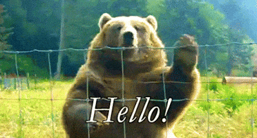 1000037843.gif