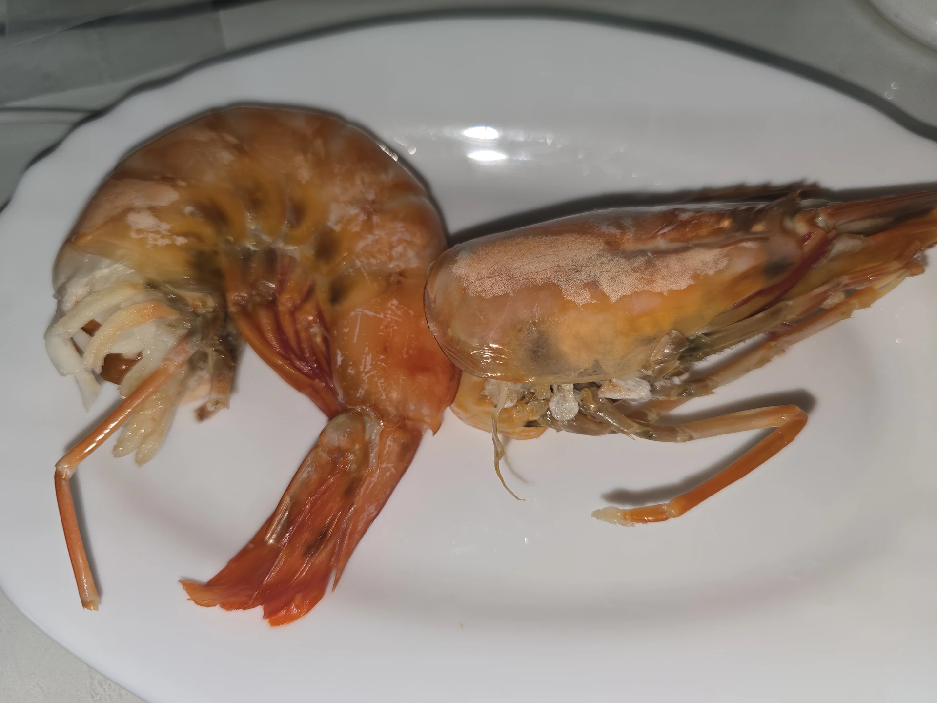1000037860.webp