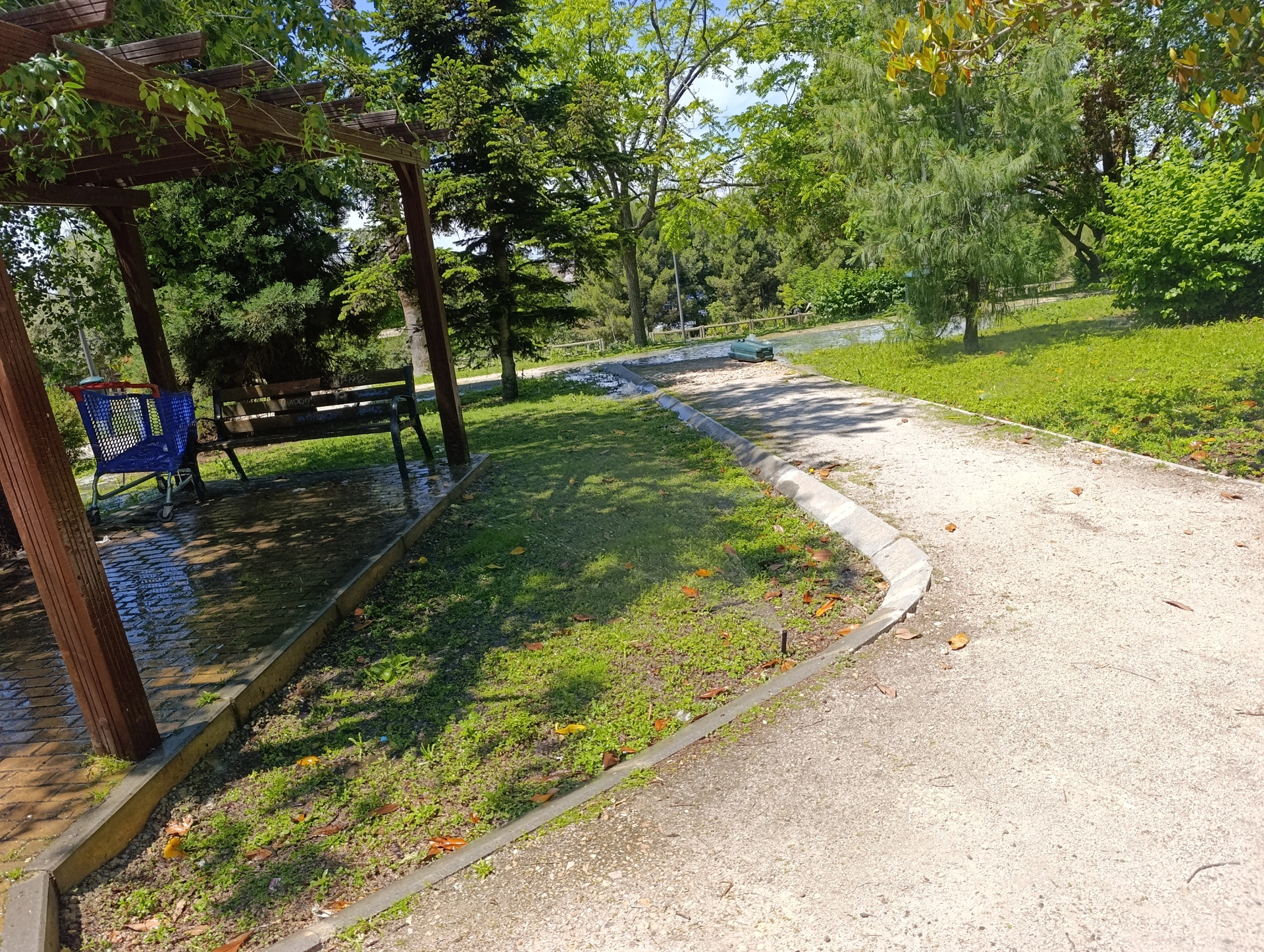 1000038080.webp