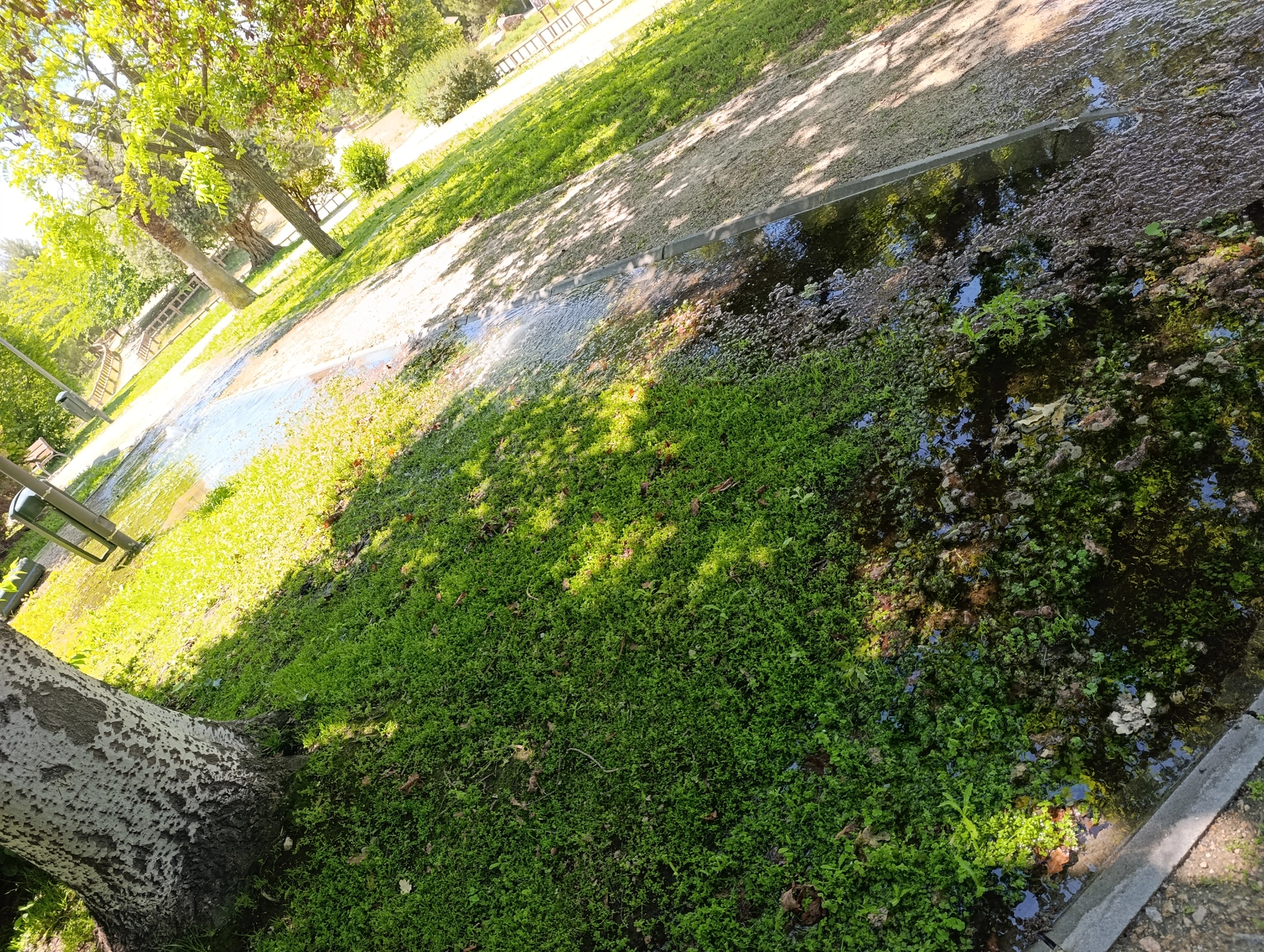 1000038083.webp