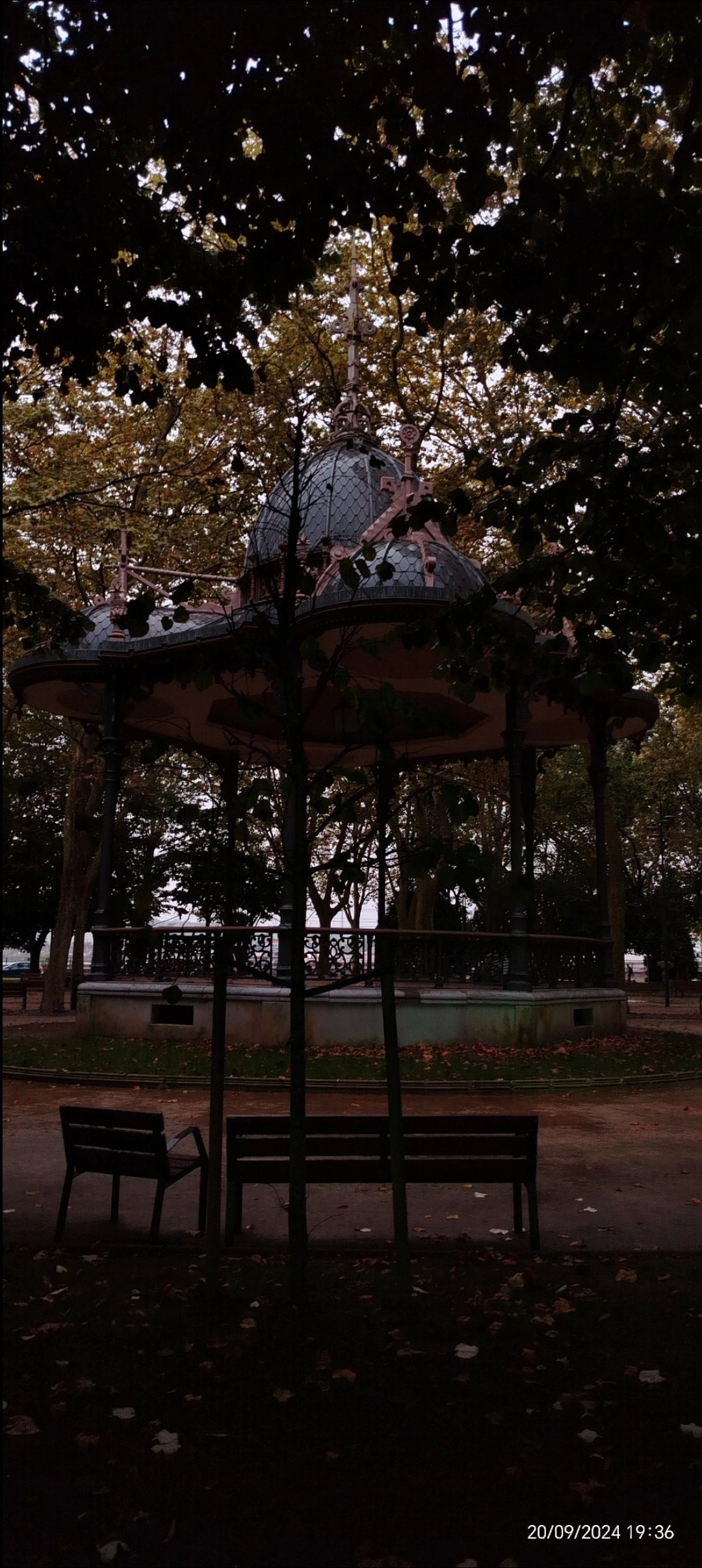 1000039313.webp