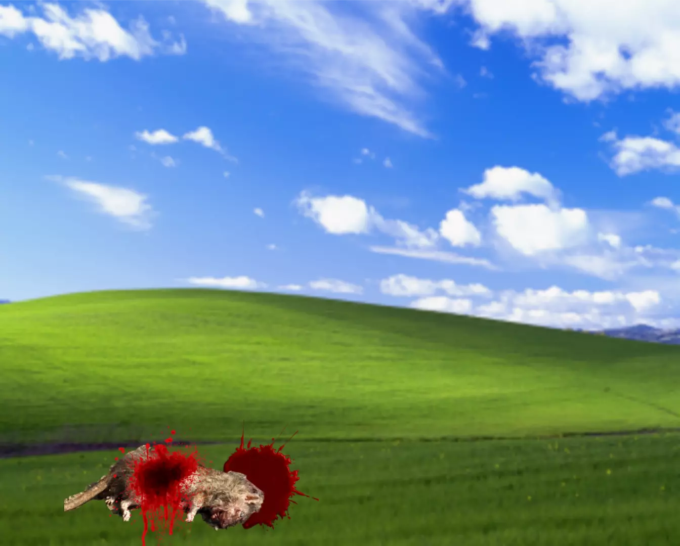 1000041853.webp