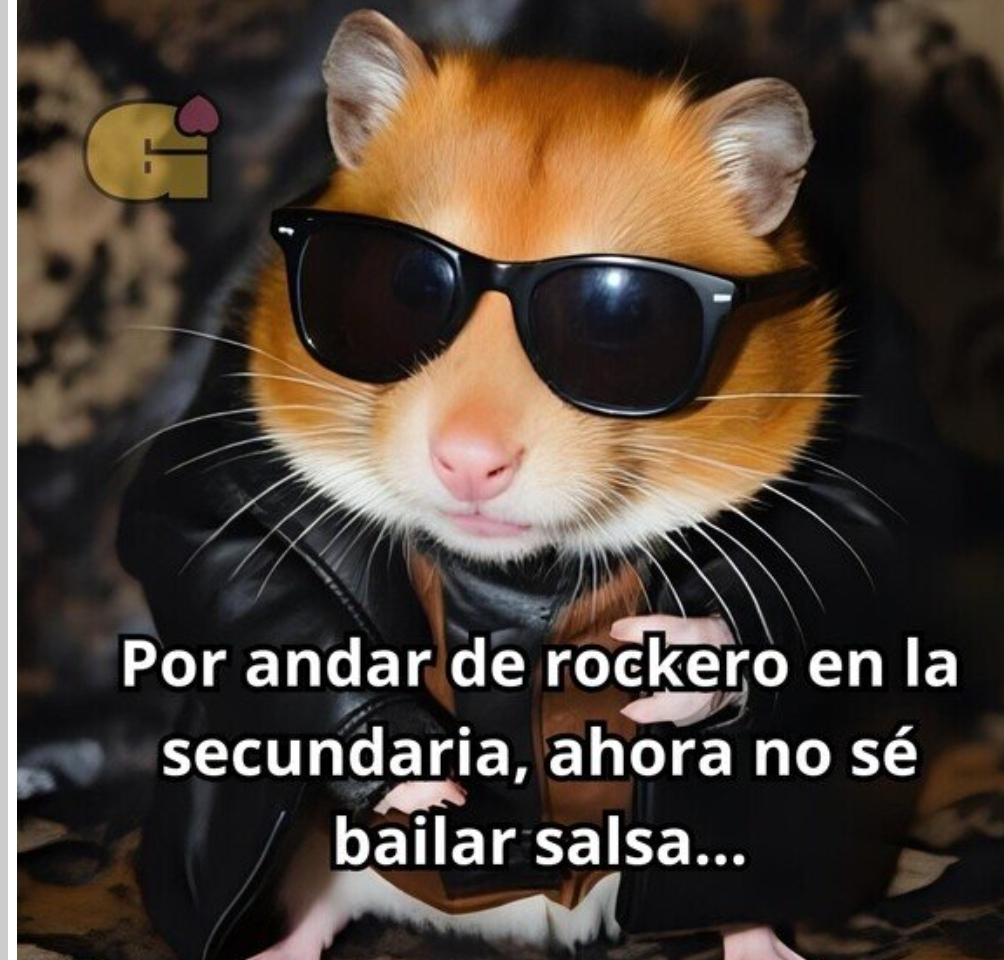 1000043216.webp