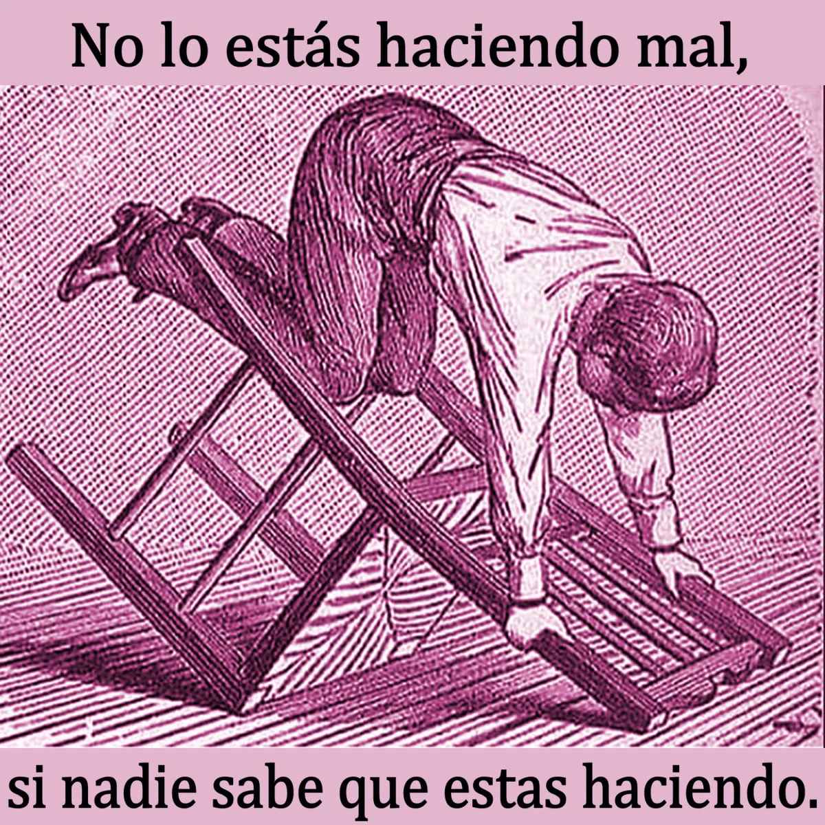 1000044556.webp