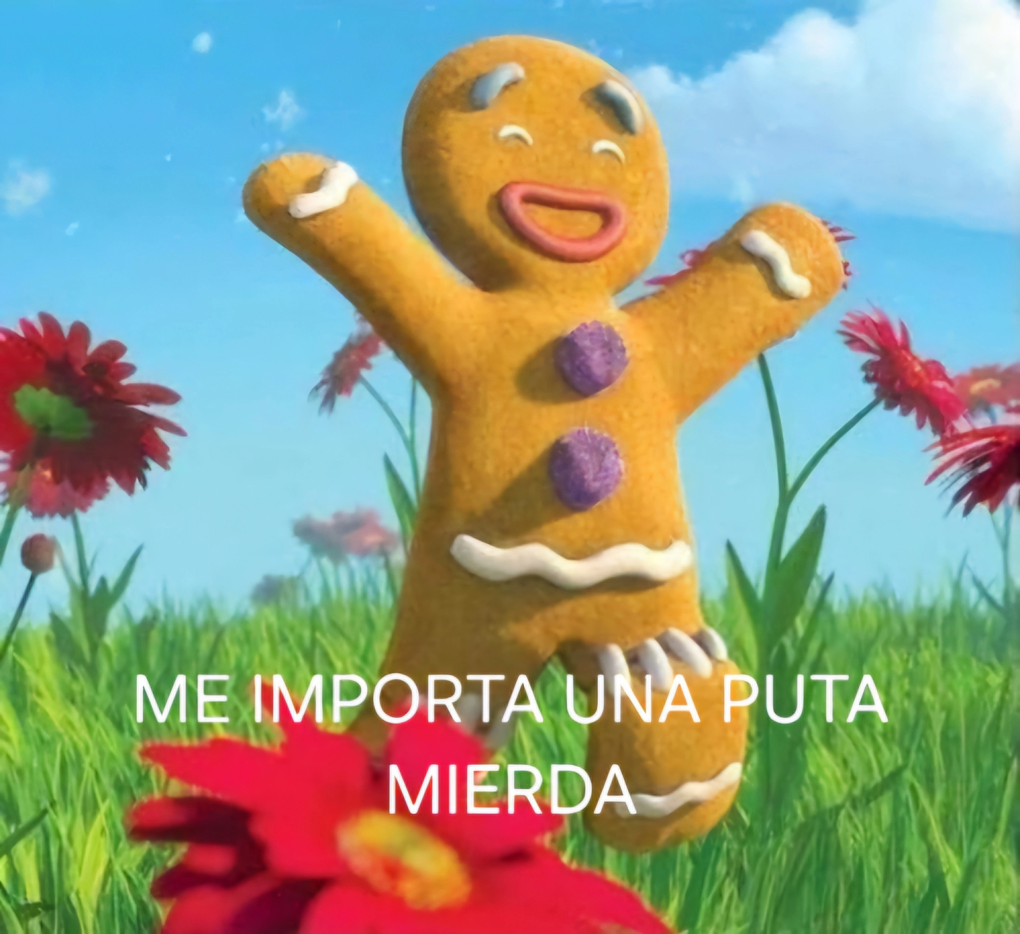 1000044920.webp
