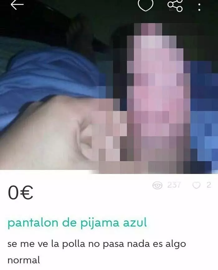 1000046964.webp