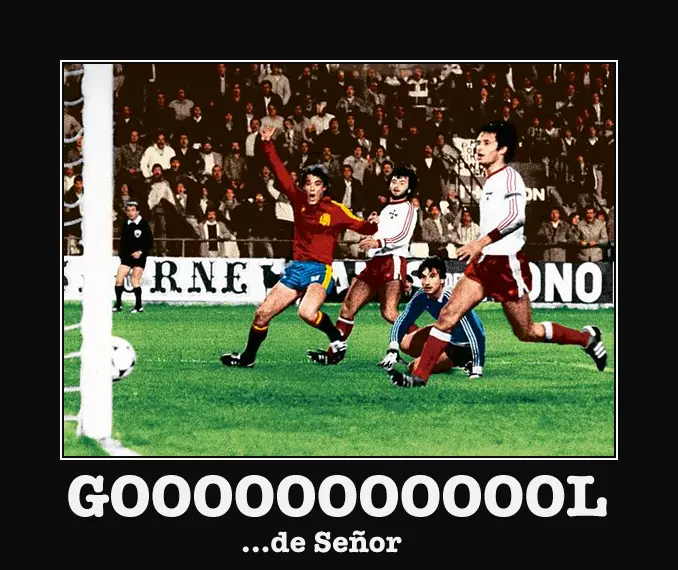1000048619.webp