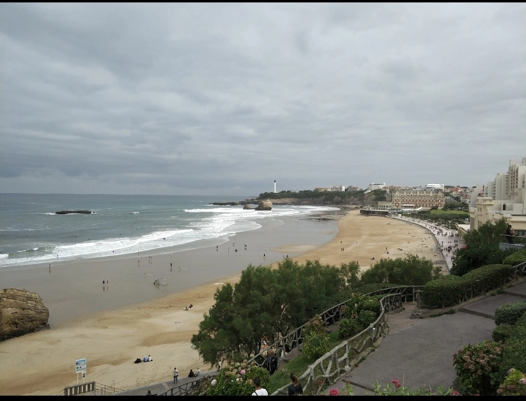 1000050821.webp