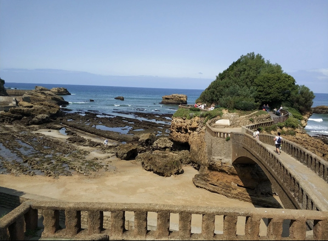1000050822.webp