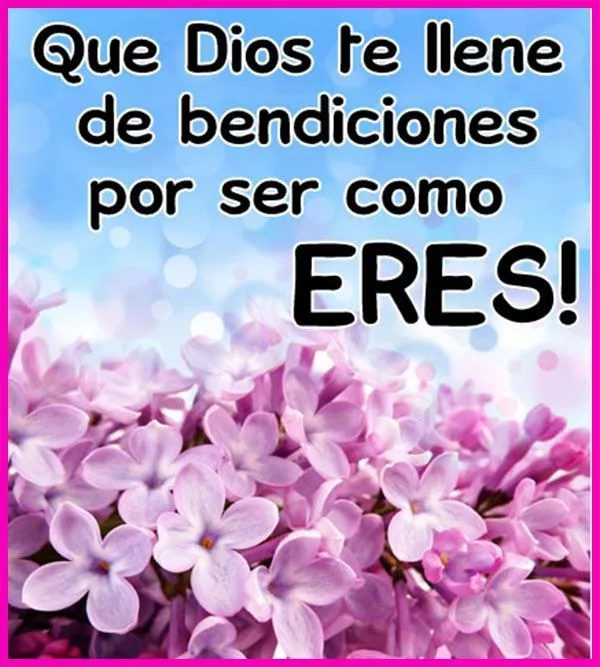 1000050842.webp