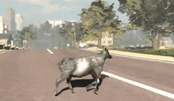1000053459.gif