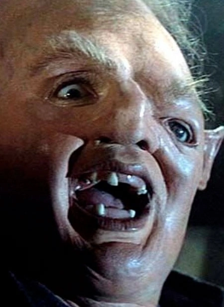 1000060043.webp