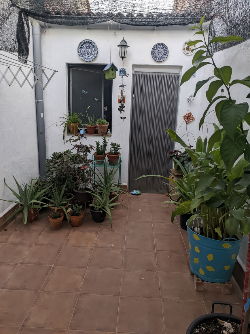 1000060380.webp