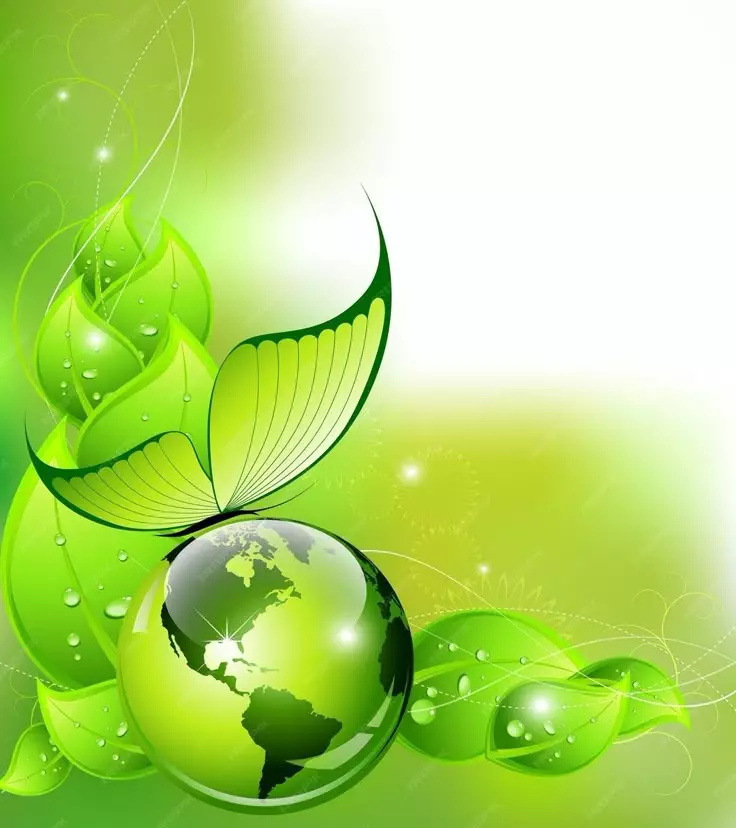 1000061929.webp