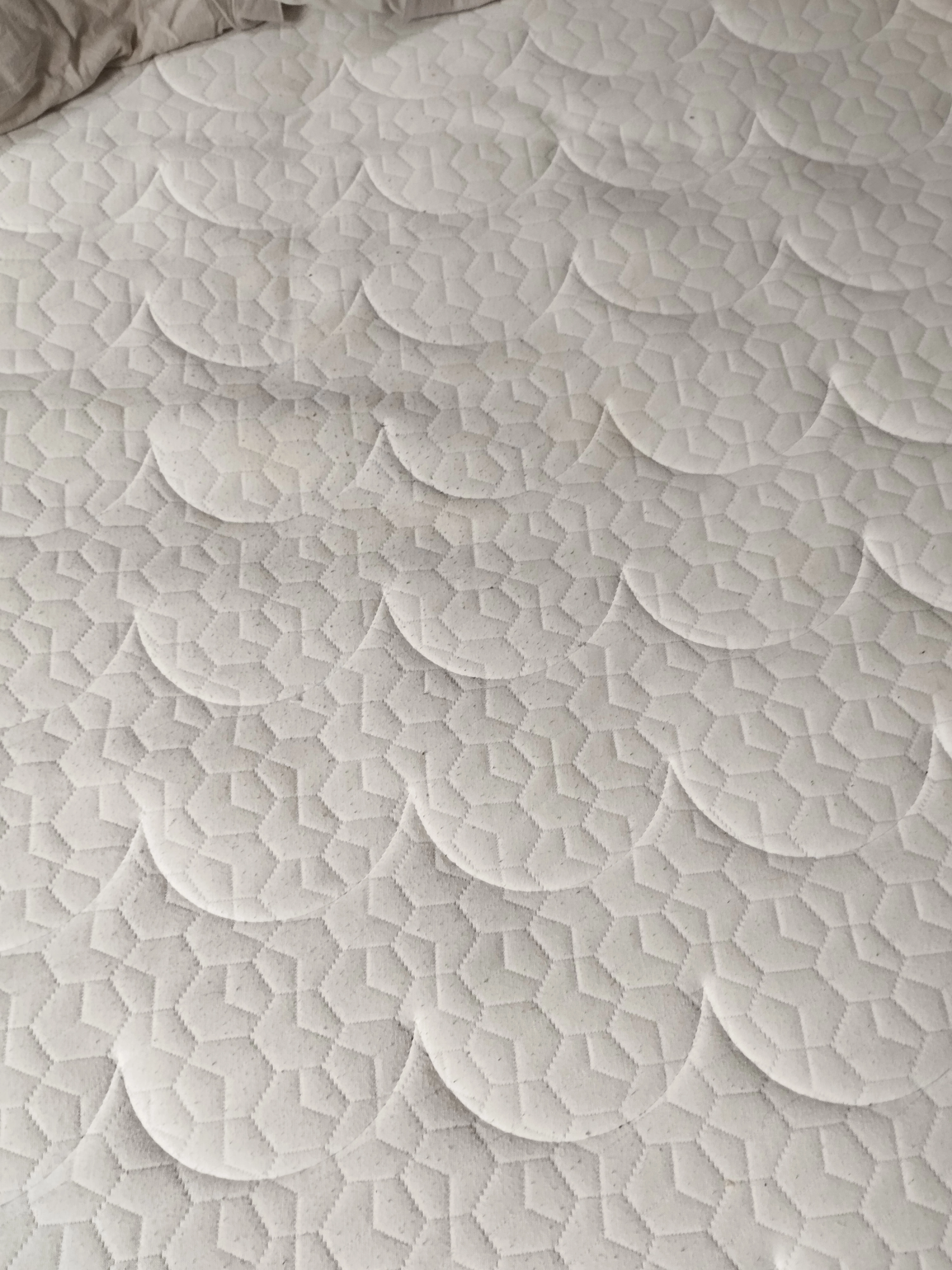 1000064008.jpg