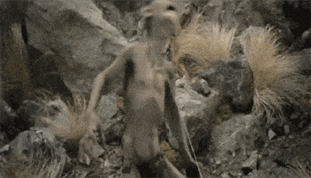 1000065704.gif