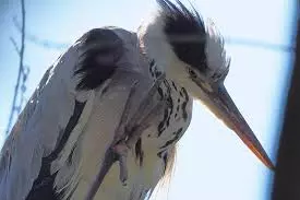 1000068251.webp