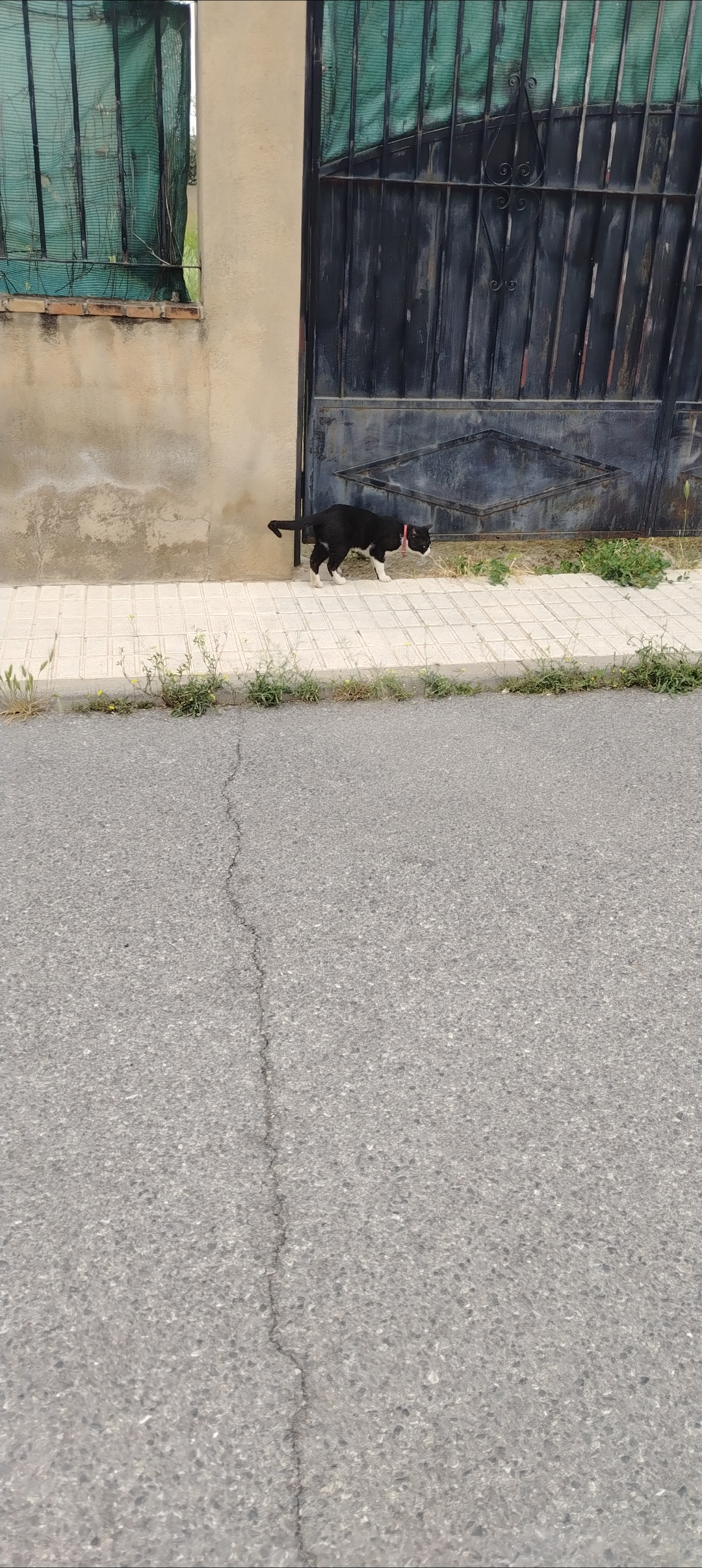 1000071614.webp