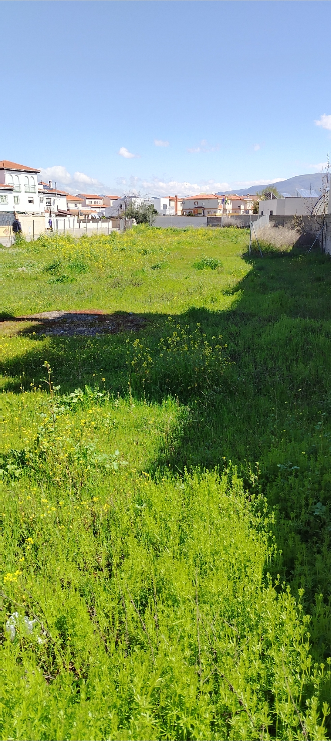 1000072829.webp