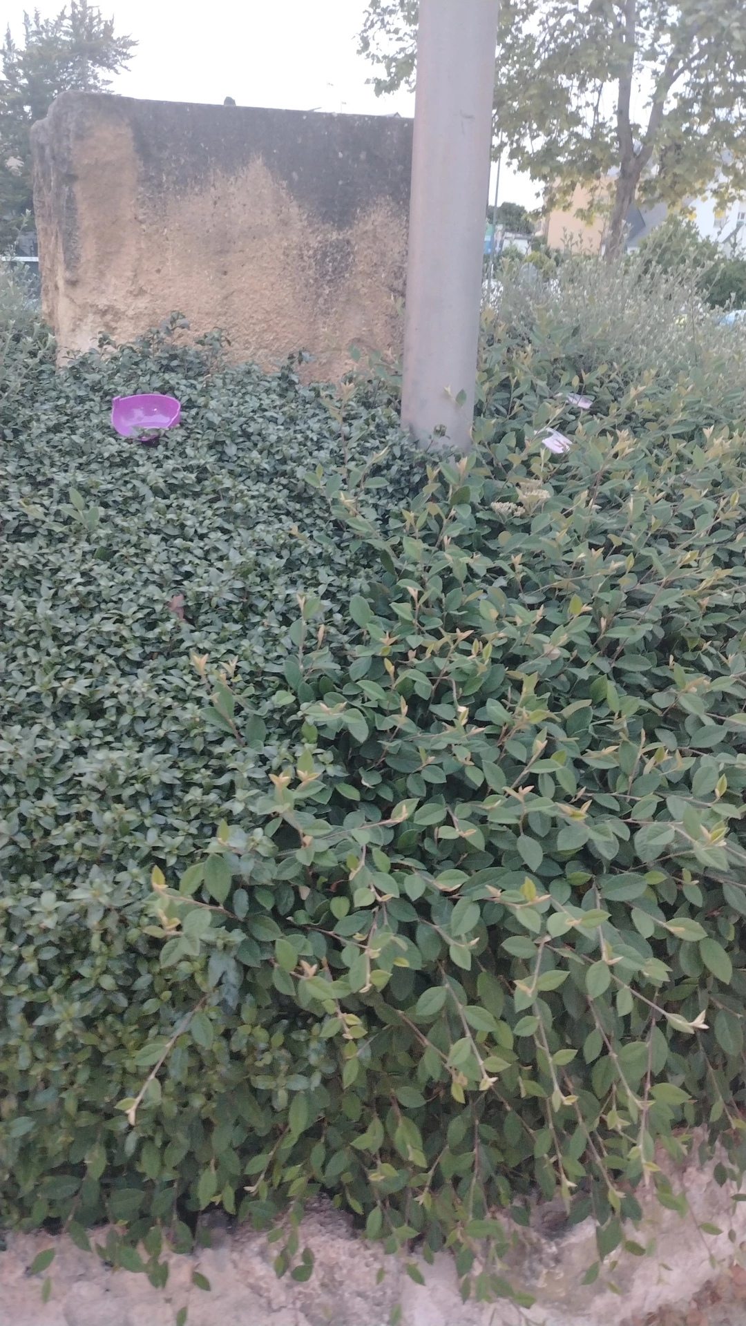 1000072994.webp
