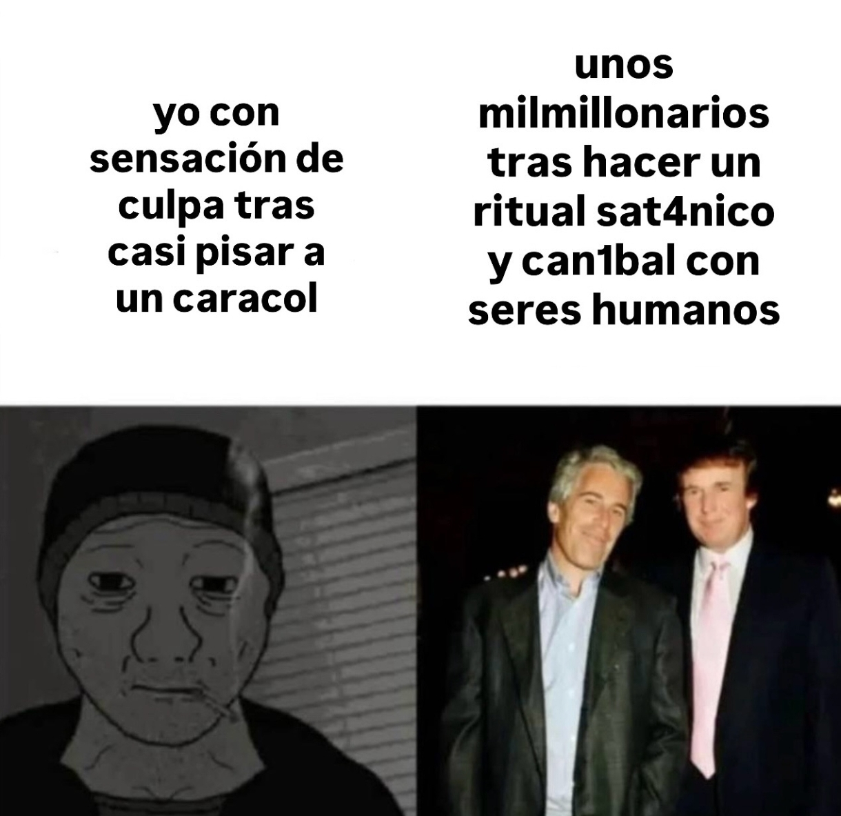 1000073609.webp