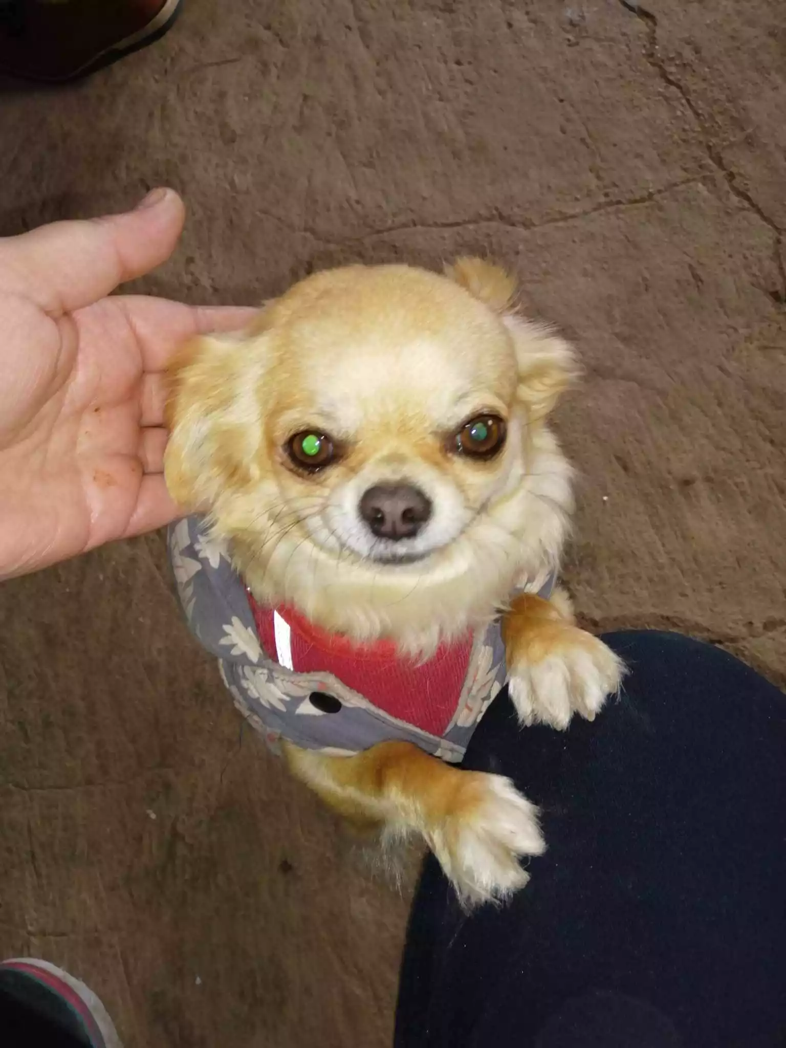 1000074071.webp
