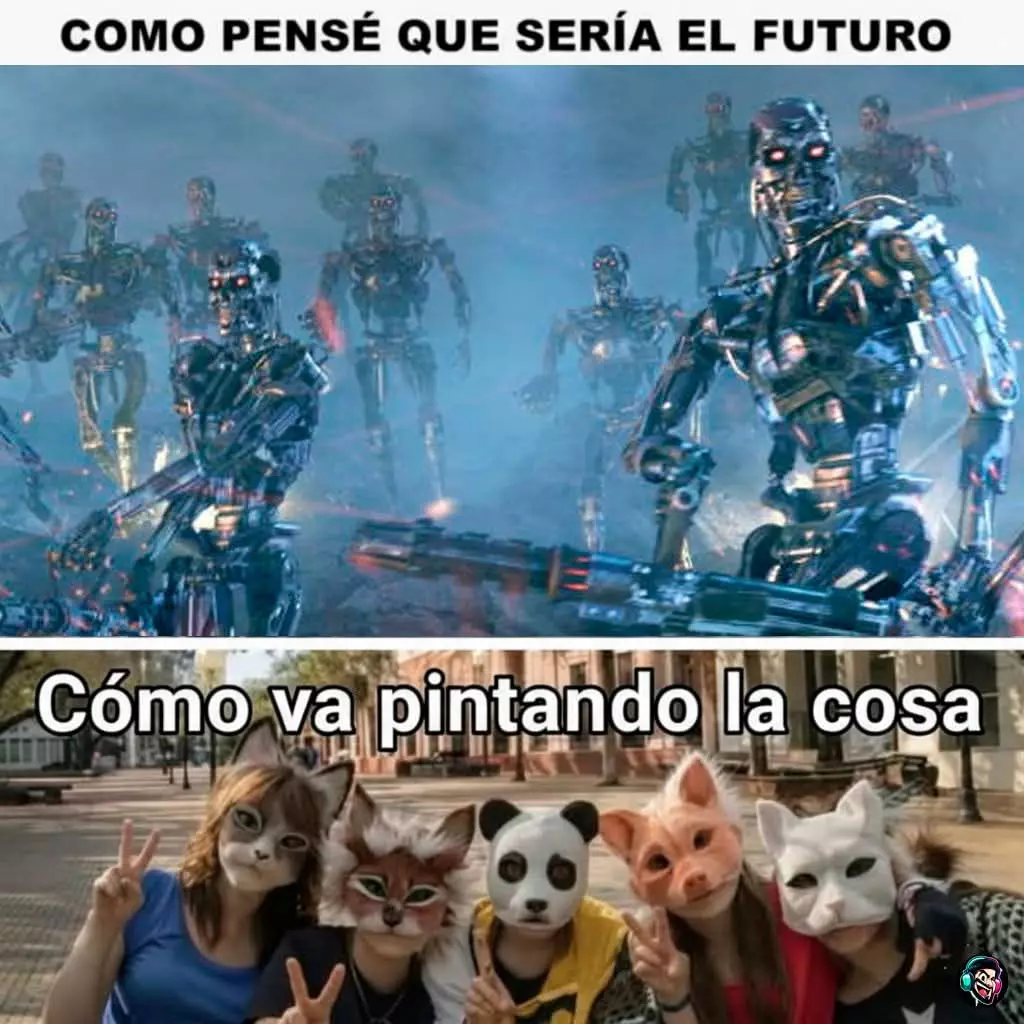 1000076065.webp