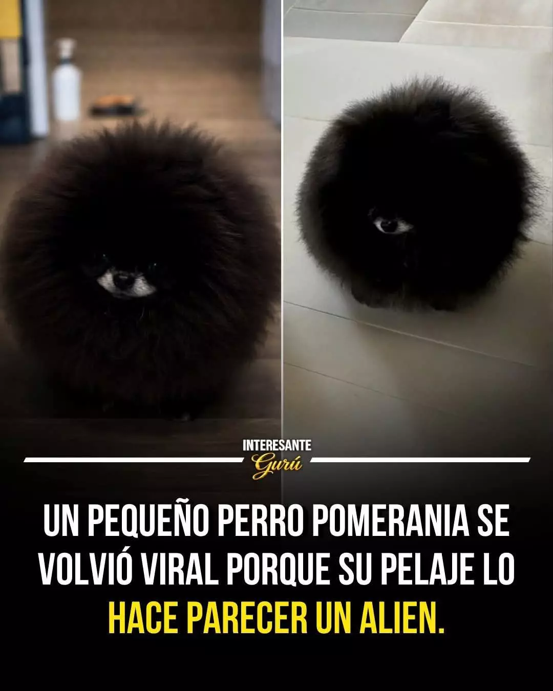 1000078236.webp