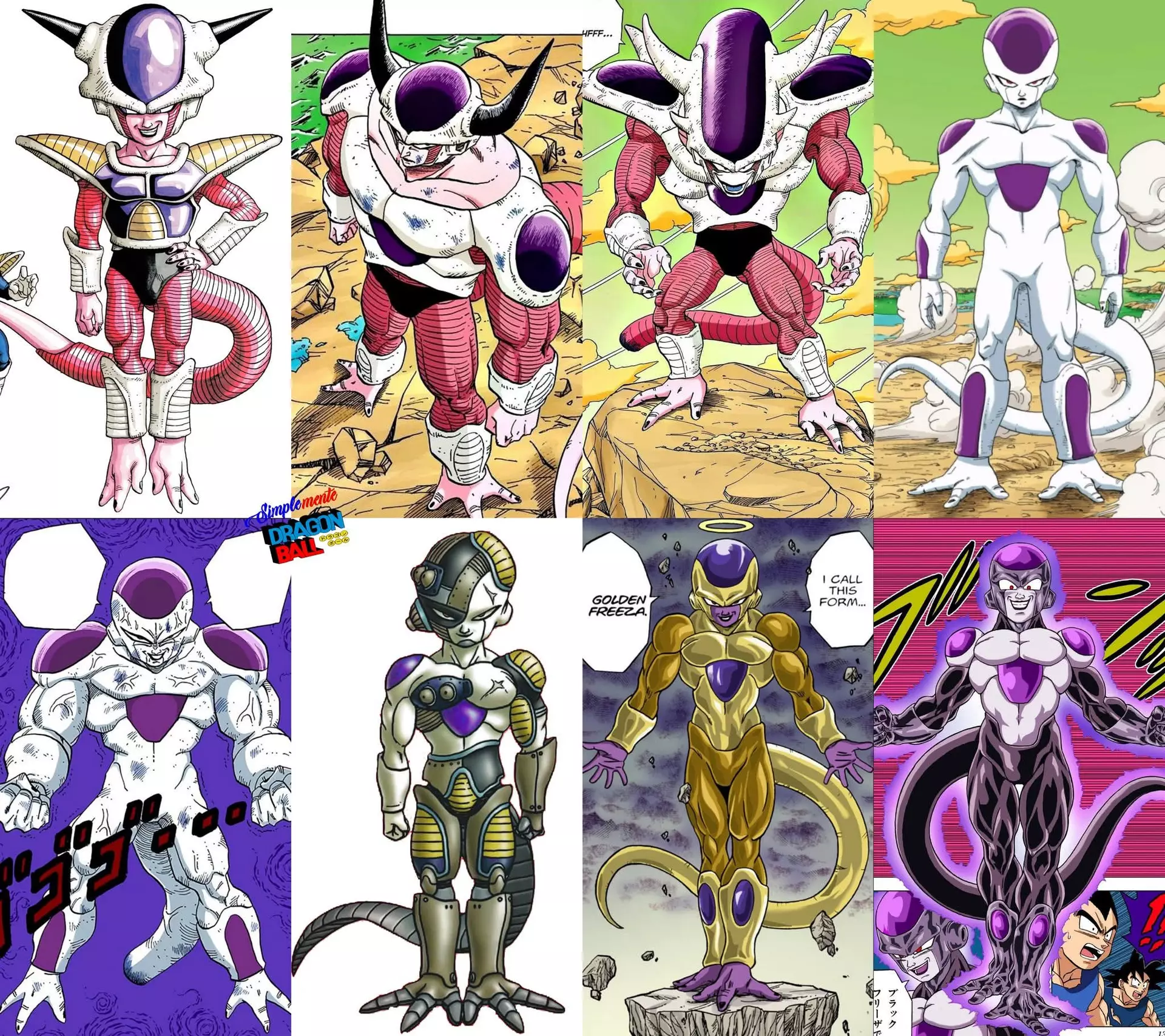 1000079131.webp