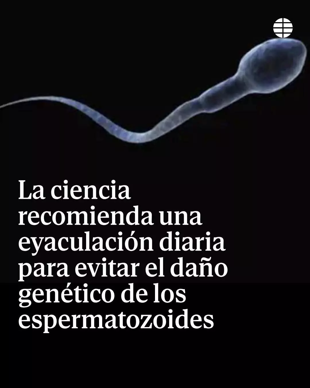 1000079239.webp
