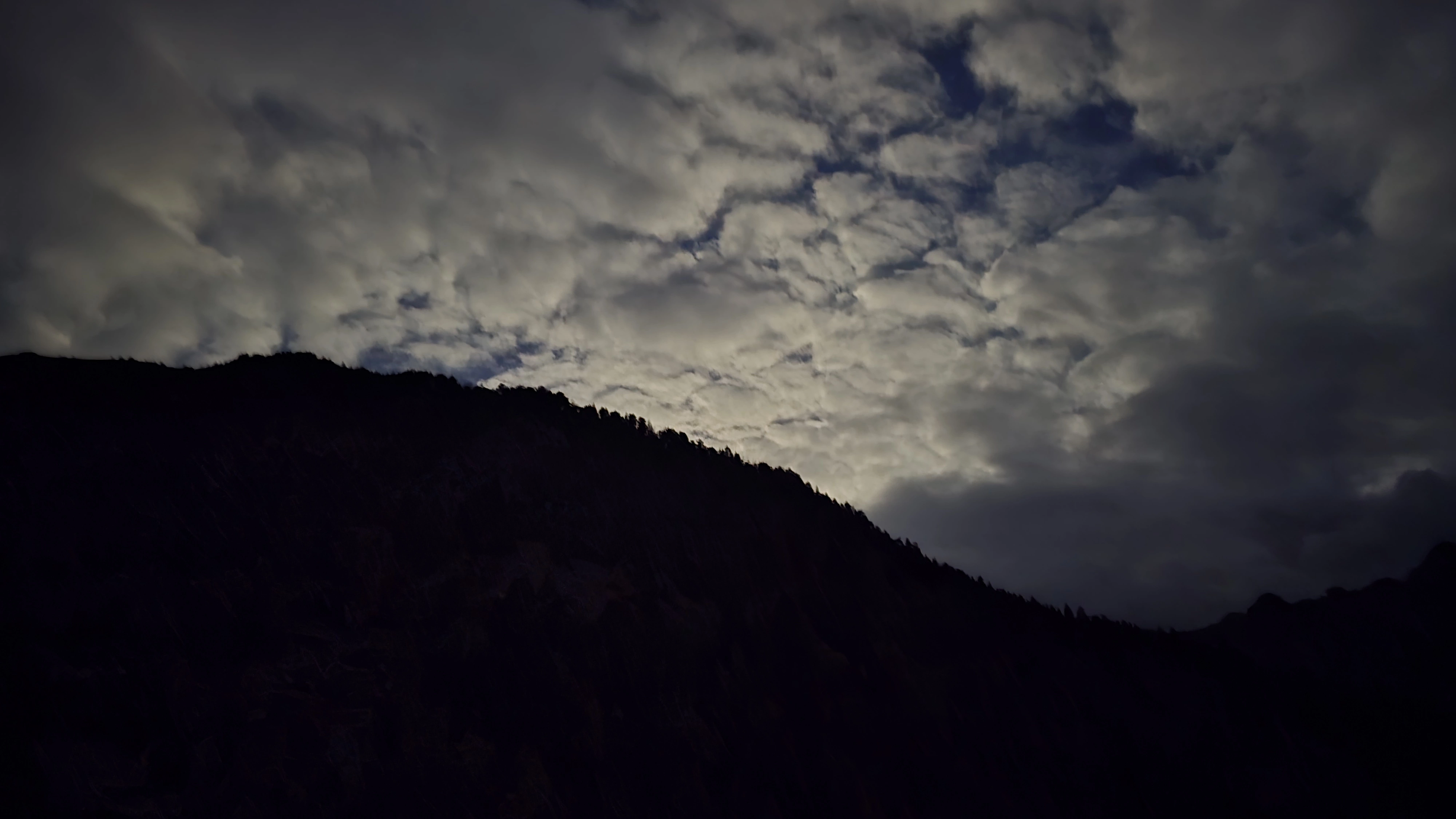 1000079773.webp