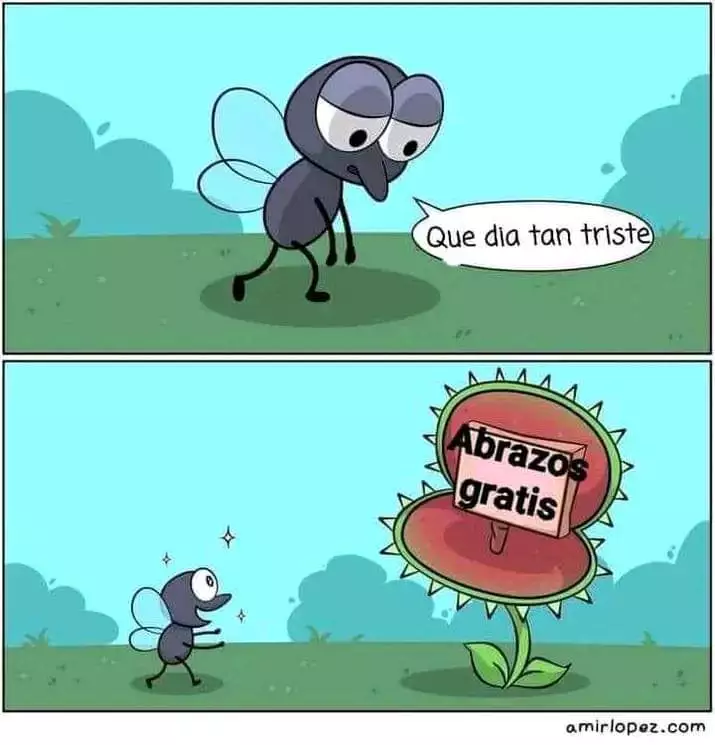 1000079951.webp