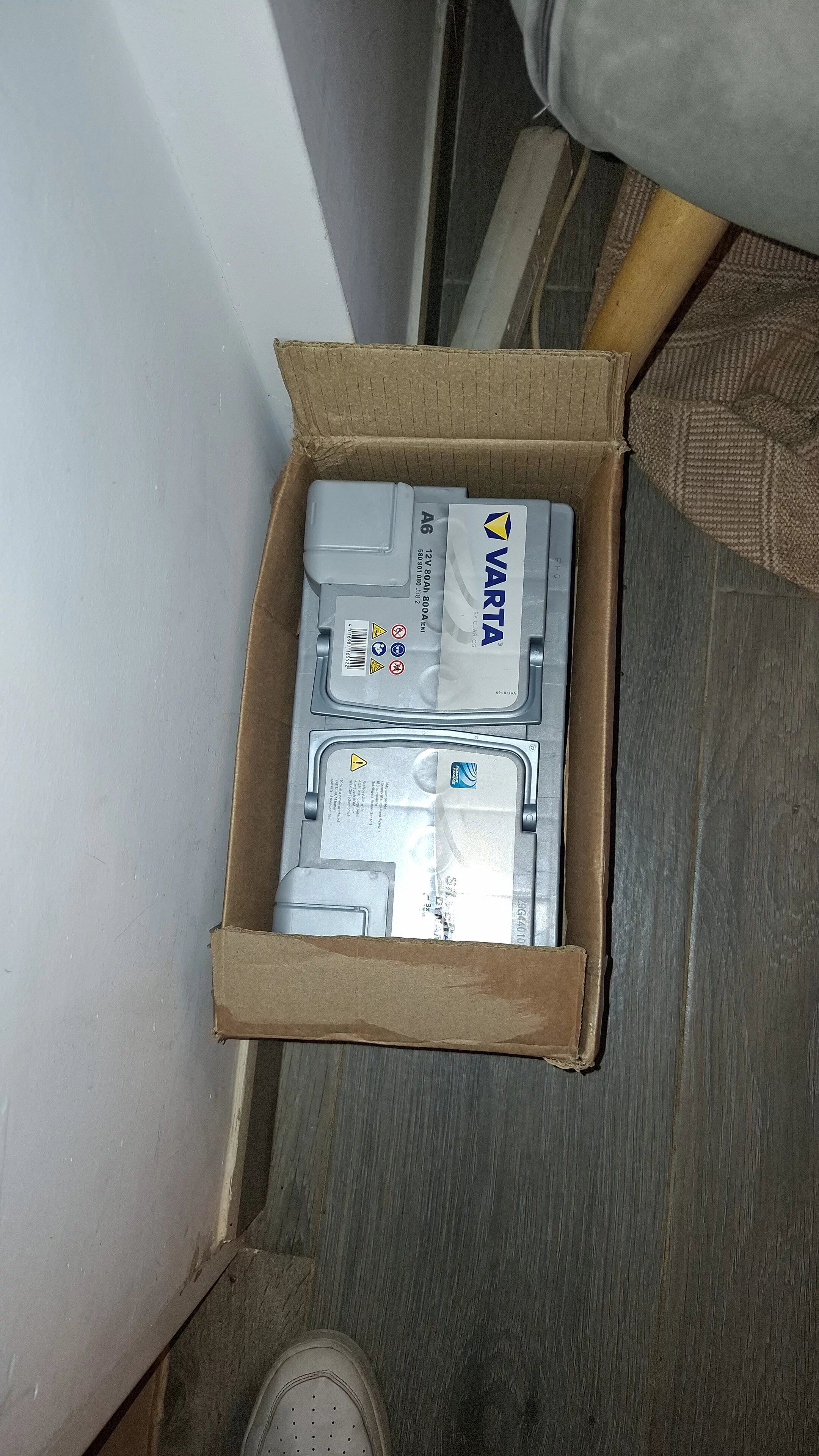 1000081066.webp