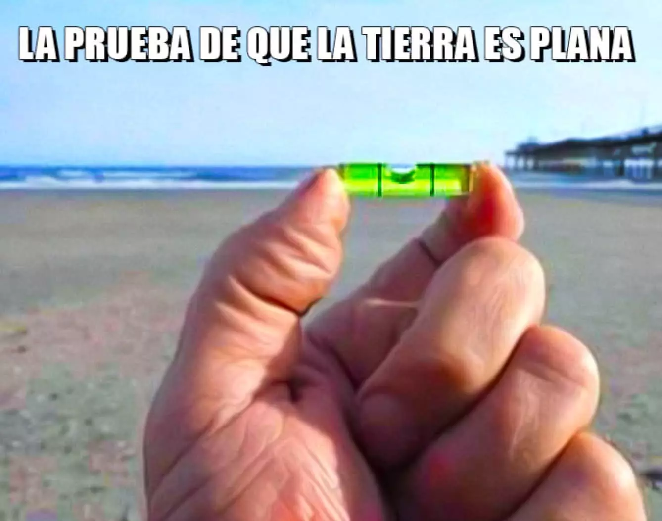 1000081361.webp