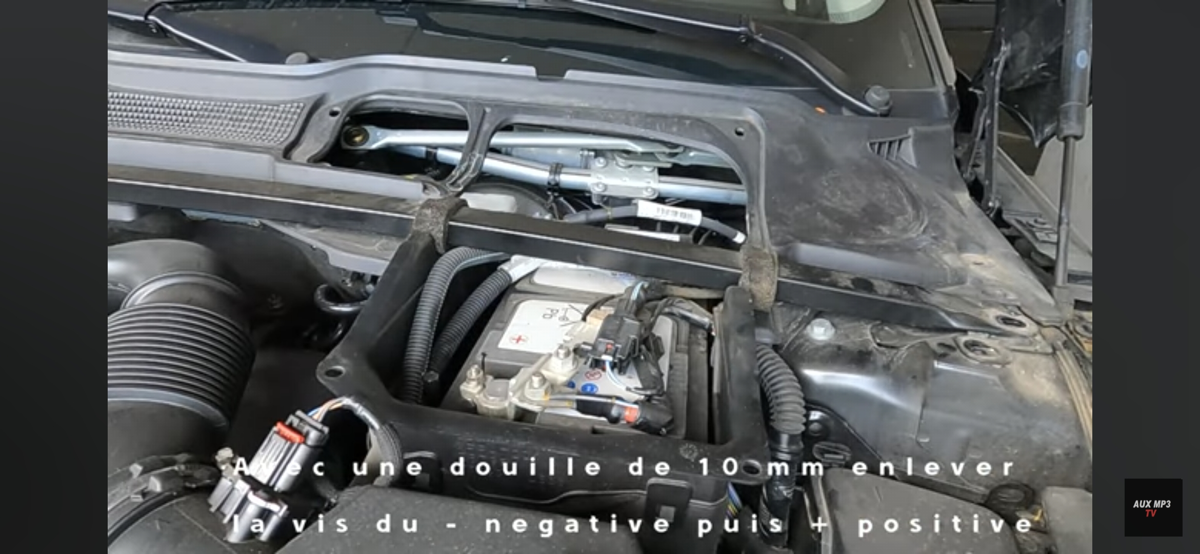 1000082390.webp