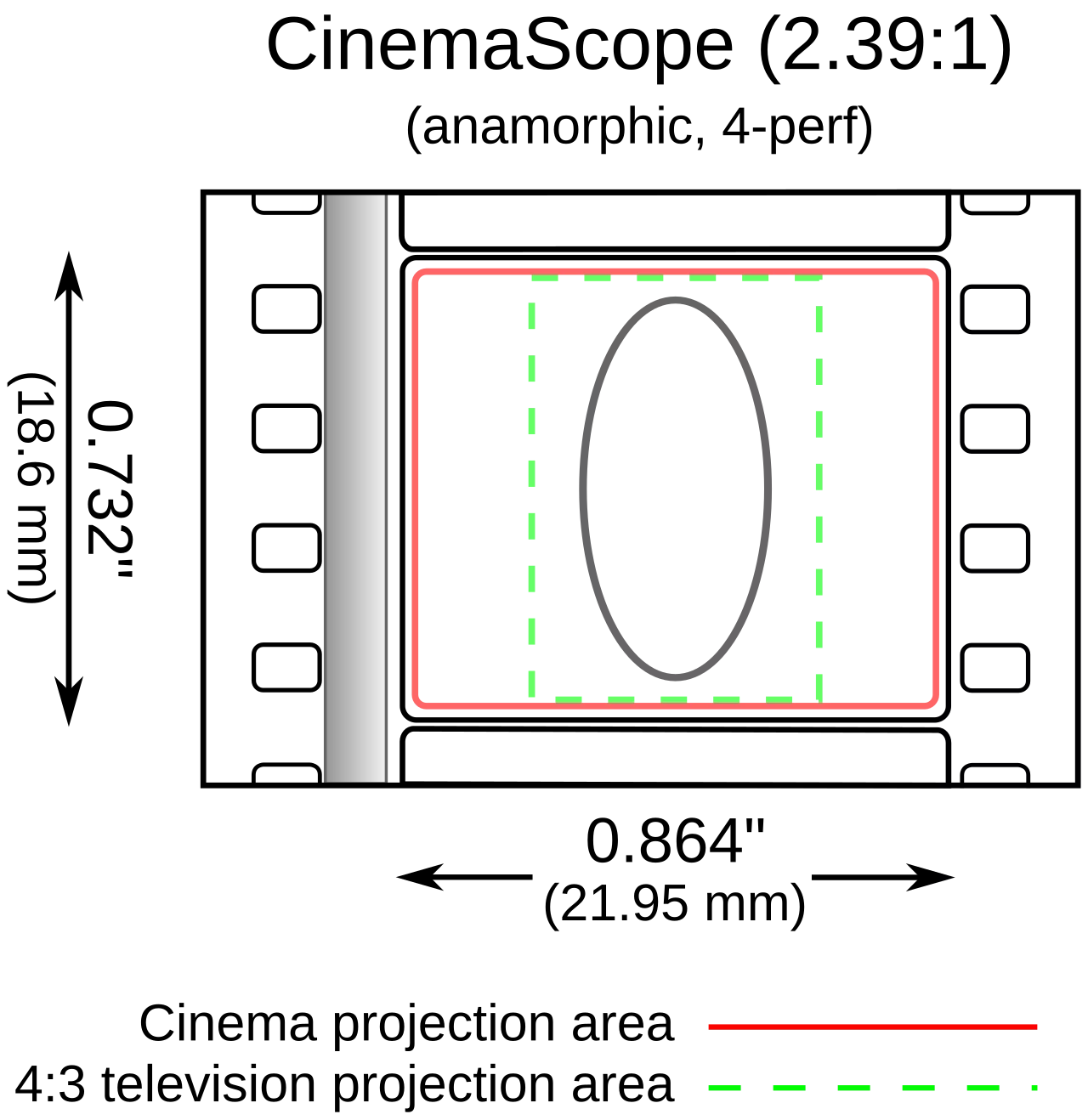 1000084407.png