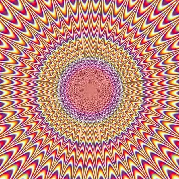 1000084559.webp