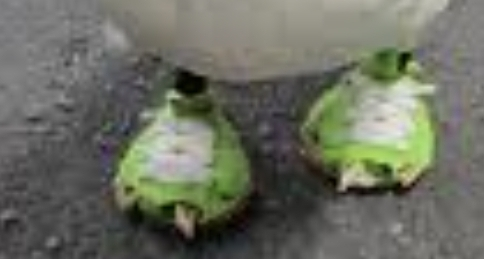 1000086097.webp