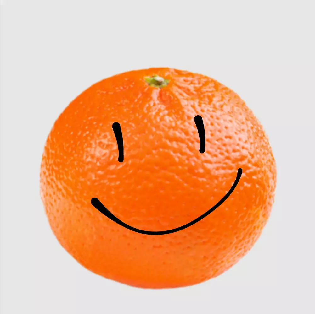 1000087530.png