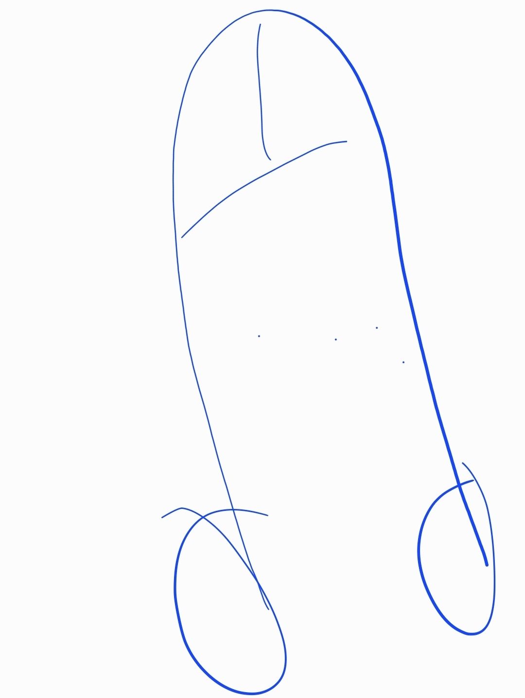 1000091643.webp