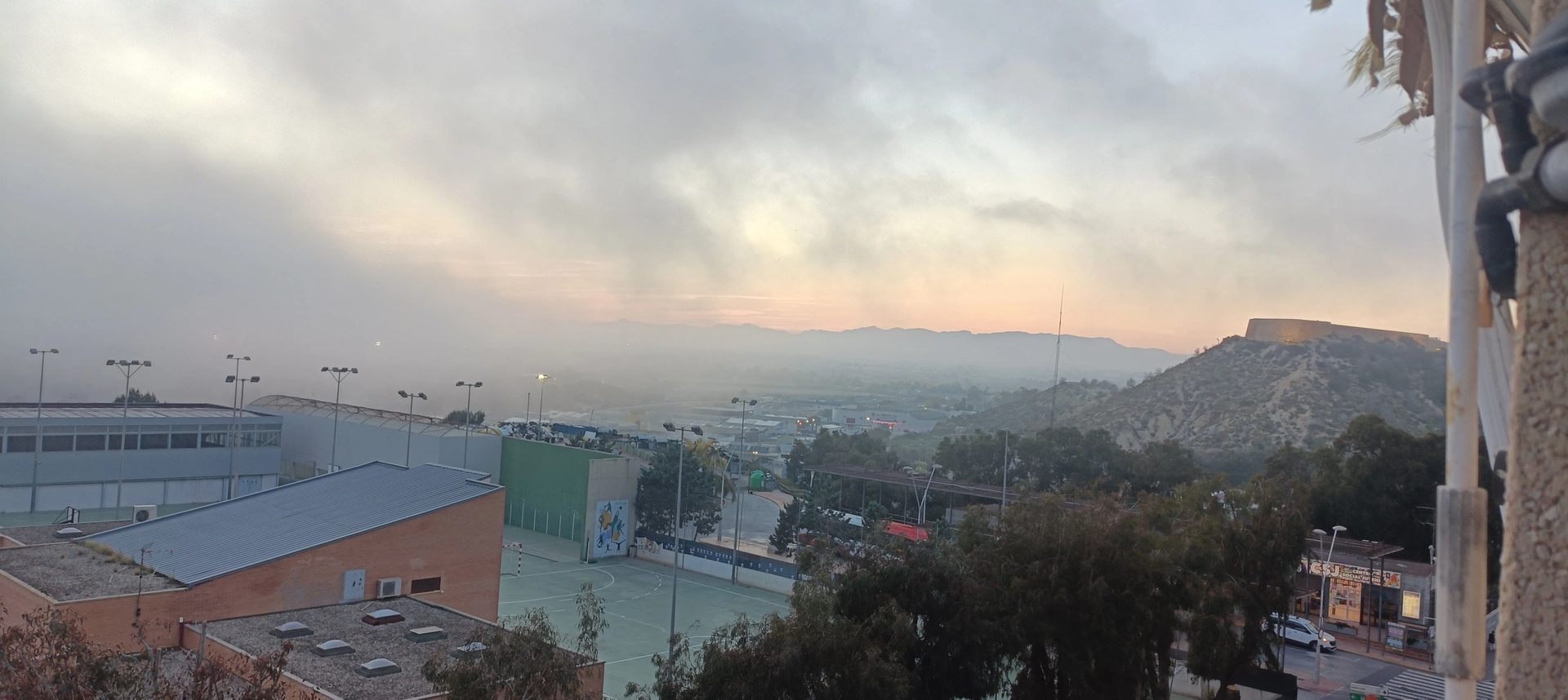 1000101037.webp