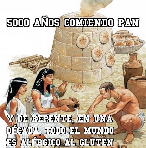 1000101555.webp