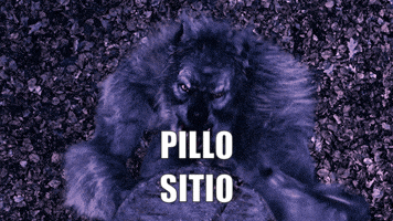 1000102764.gif