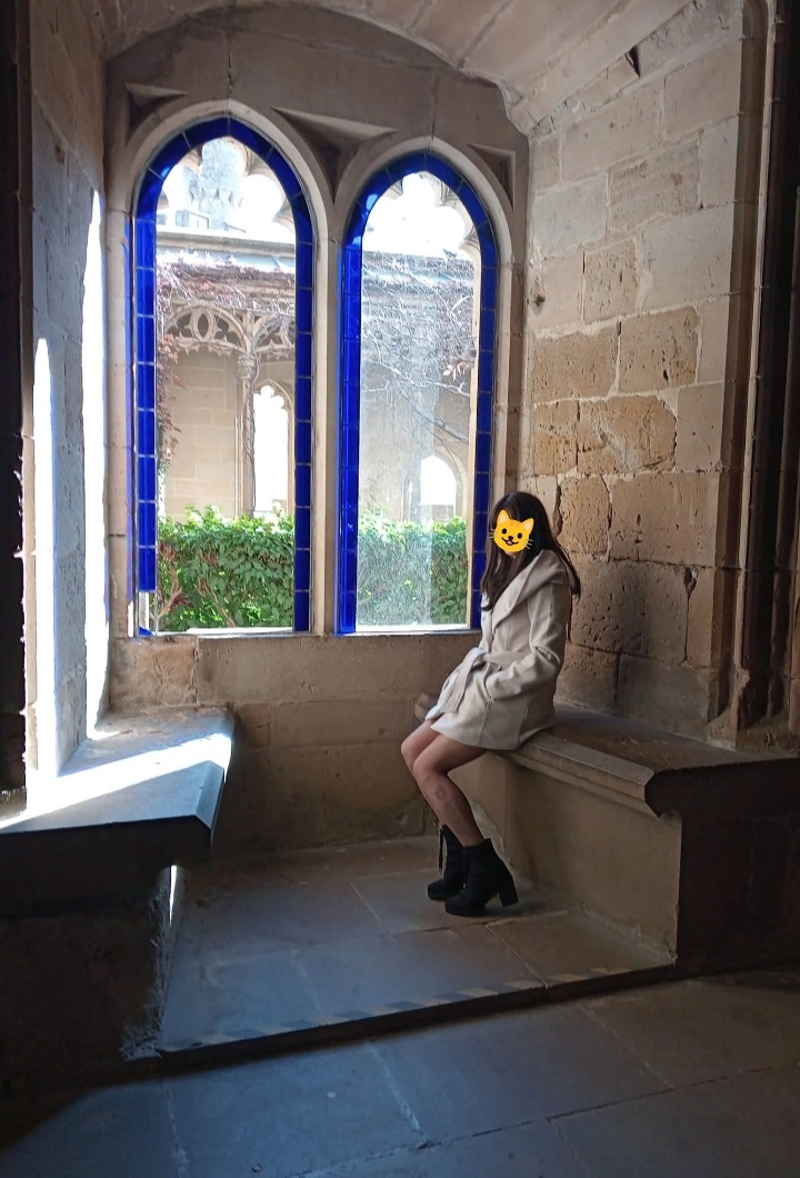 1000106491.webp