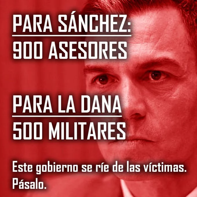 1000131599.webp