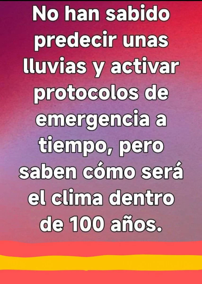1000133008.webp