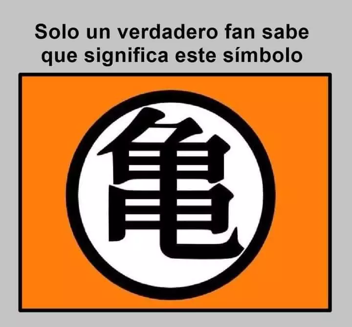 1000148943.webp